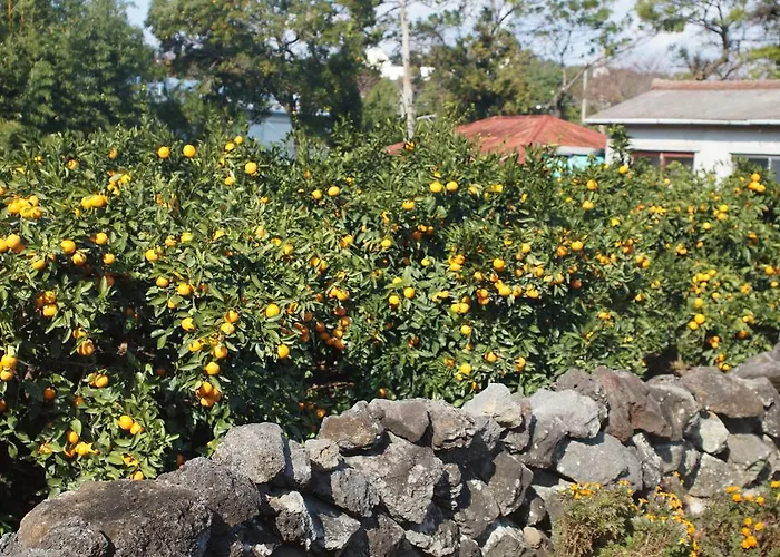 Yerae Pension